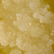 GOLDEN ARGAN SCRUB - Softening Sugar Scrub with Orange Blossom