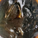 BODY GLOW ARGAN - Exfoliating Black Soap with Argan Oil